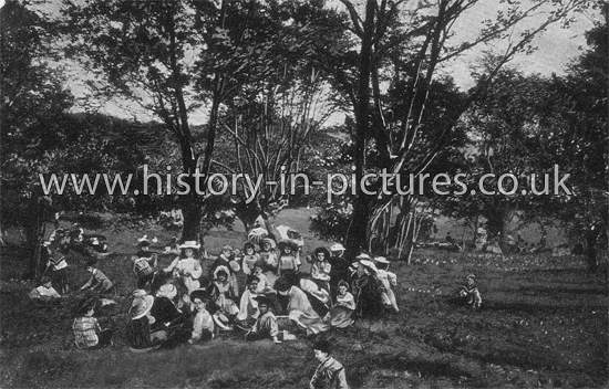 A School Treat to The Forest, Epping Forest, Essex. c.1914